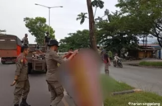 Masa Tenang, Pol PP Padang Bersihkan Bahan dan Alat Peraga Kampanye yang Masih Terpasang