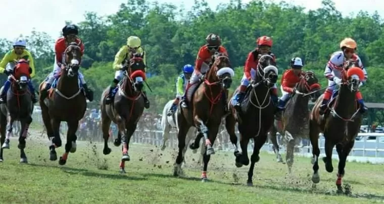 Suasana kuda berpacu di Gelanggang Pacuan Kuda Kandi, di Sawahlunto Derby.(dok. armadison)