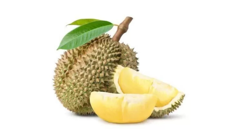 5 Manfaat Buah Durian untuk Kesehatan yang Jarang Diketahui