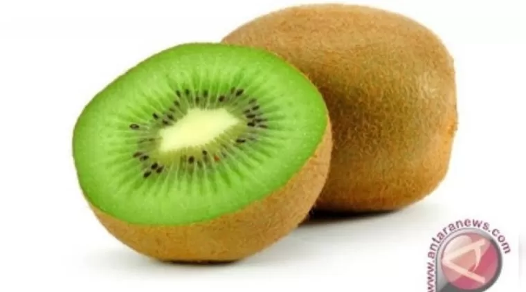 5 Manfaat Buah Kiwi untuk Kesehatan yang Perlu Anda Ketahui