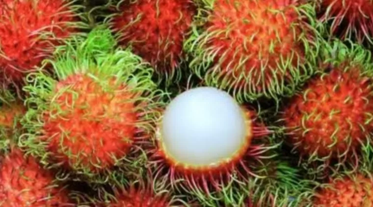 5 Manfaat Buah Rambutan untuk Kesehatan yang Menakjubkan