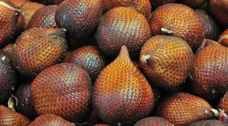 5 Manfaat Buah Salak untuk Kesehatan yang Jarang Diketahui