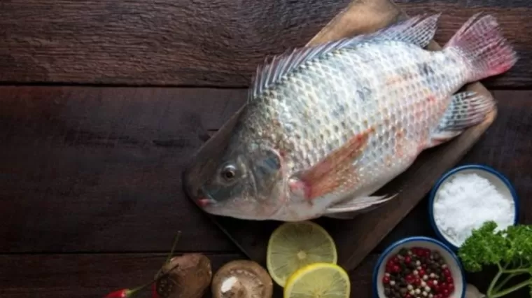 5 Manfaat Ikan Mujair untuk Kesehatan