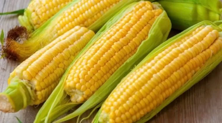 5 Manfaat Jagung untuk Kesehatan yang Perlu Anda Ketahui