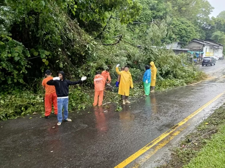 Di Padang; Sejumlah Pohon Tumbang, Angin Kencang Rusak Rumah Warga