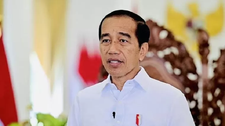 Jokowi. (Foto: detik.com)