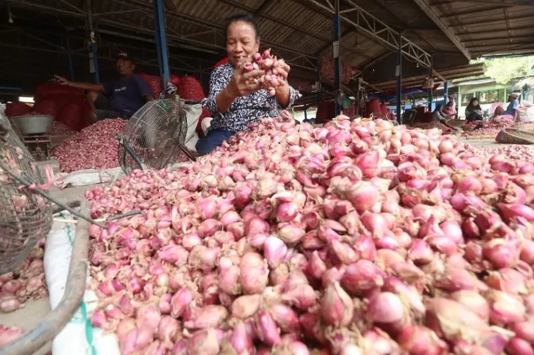 Harga Pangan Kamis, Bawang Merah Rp38.050/kg