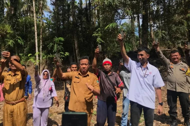 PT Semen Padang berkolaborasi dengan DLH Sumbar tanam ribuan bibit Kaliandra di Rimbo Sianok, Korong Kampuang Tanjuang, Kecamatan IV Koto Aur Malintang, Kabupaten Padang Pariaman, Selasa (17/12/2024).Ist