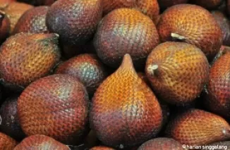 5 Manfaat Buah Salak untuk Kesehatan yang Jarang Diketahui