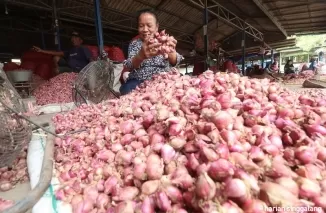 Harga Pangan Kamis, Bawang Merah Rp38.050/kg