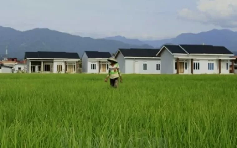 Alih Fungsi Jadi Perumahan, Luas Sawah di Padang Terus Menyusut