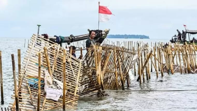 Pagar laut Tangerang. (Foto: detikcom)