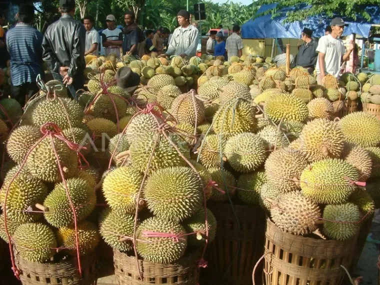 Musim Durian, Volume Sampah di Padang Meningkat