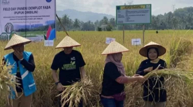 Sawahlunto Surplus Beras 5.280 Ton