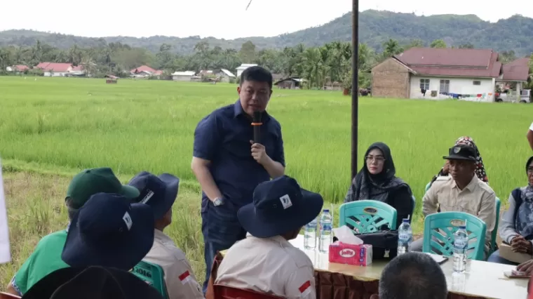 Wakil Ketua Komisi IV DPR RI, Alex Indra Lukman, meninjau langsung implementasi teknik &quot;sawah bapokok murah&quot;.