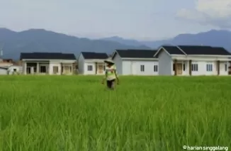 Alih Fungsi Jadi Perumahan, Luas Sawah di Padang Terus Menyusut