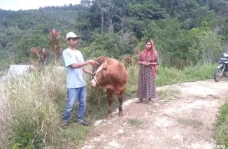 BKSDA Sumbar Pastikan Harimau di Pagadih Agam Satu Ekor