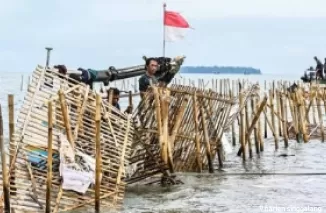 Pagar laut Tangerang. (Foto: detikcom)