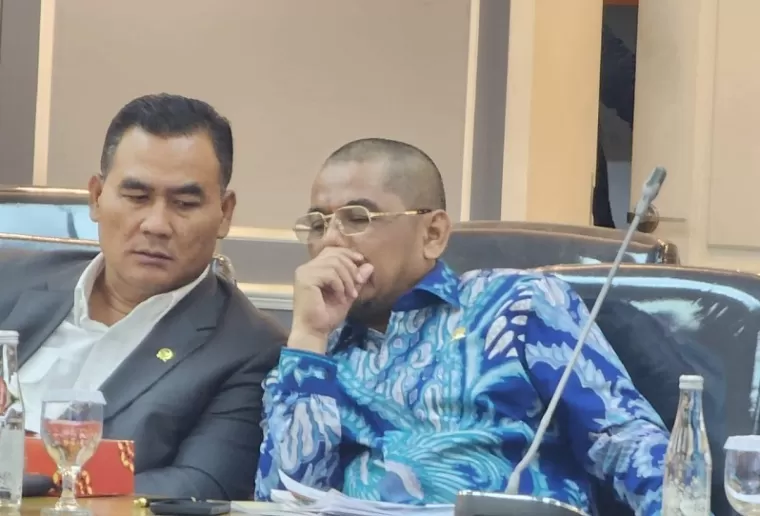 Anggota DPR RI Arizal Azis Usulkan Program Naturalisasi Dibatasi