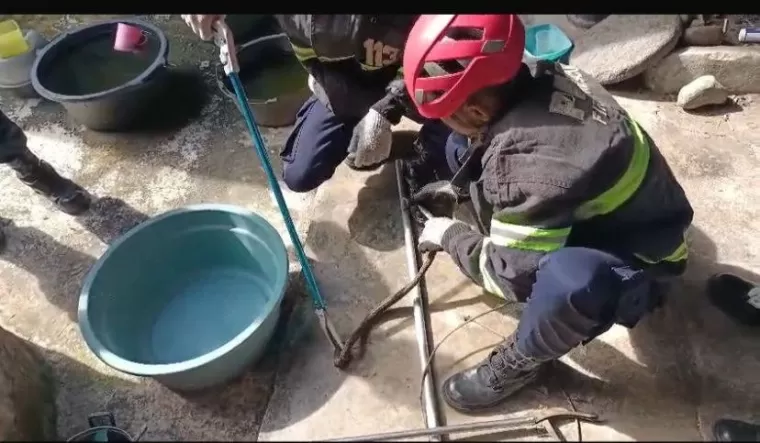 Damkar Padang Evakuasi Ular Masuk Bak Mandi Warga