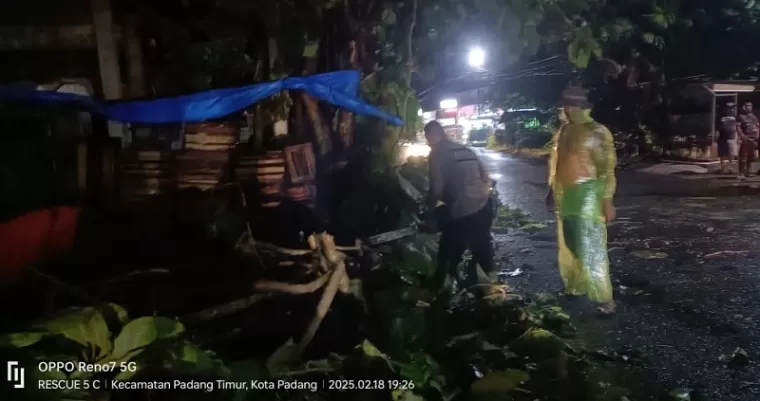 Hujan Angin di Padang Sebabkan Pohon Tumbang Timpa Rumah dan Ganggu Akses Jalan