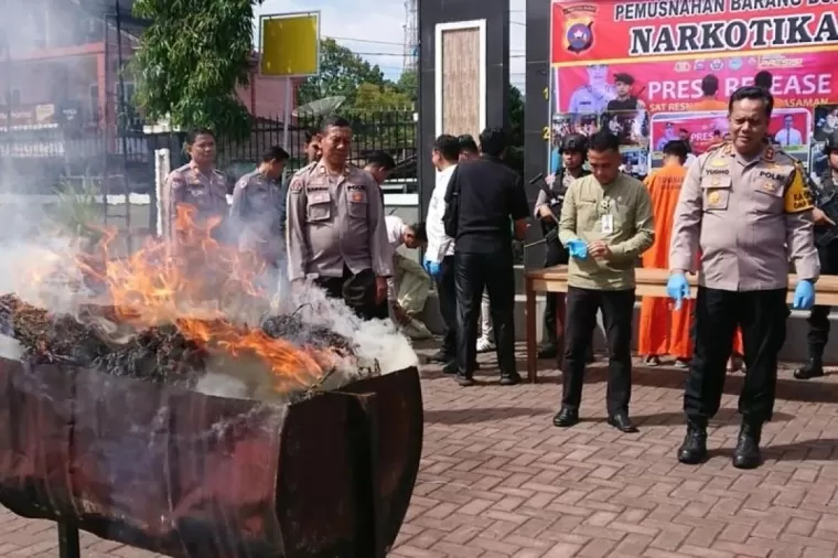 Polres Pasaman MUsnahkan Barang Bukti 8,6 Kg Ganja