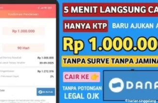 Aplikasi pinjol cair ke DANA.