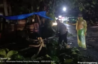 Hujan Angin di Padang Sebabkan Pohon Tumbang Timpa Rumah dan Ganggu Akses Jalan