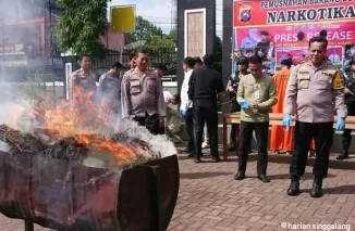 Polres Pasaman MUsnahkan Barang Bukti 8,6 Kg Ganja